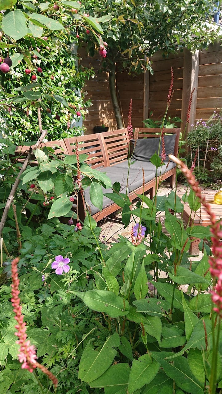 10 Best ShortTerm Rentals In Utrecht, Netherlands Updated 2024 Trip101