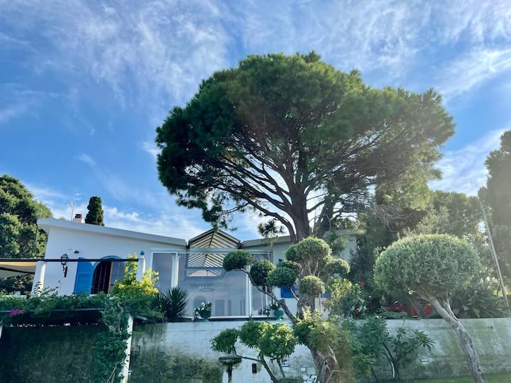 The cliff house Villas for Rent in Messina, Sicilia, Italy Airbnb