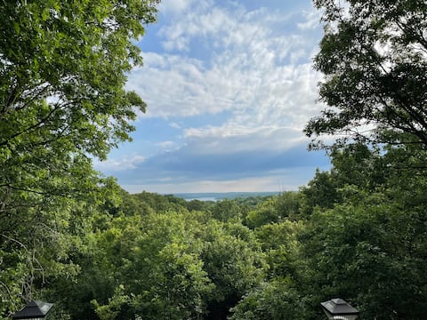 Hilltop Hideaway with a tree house view!