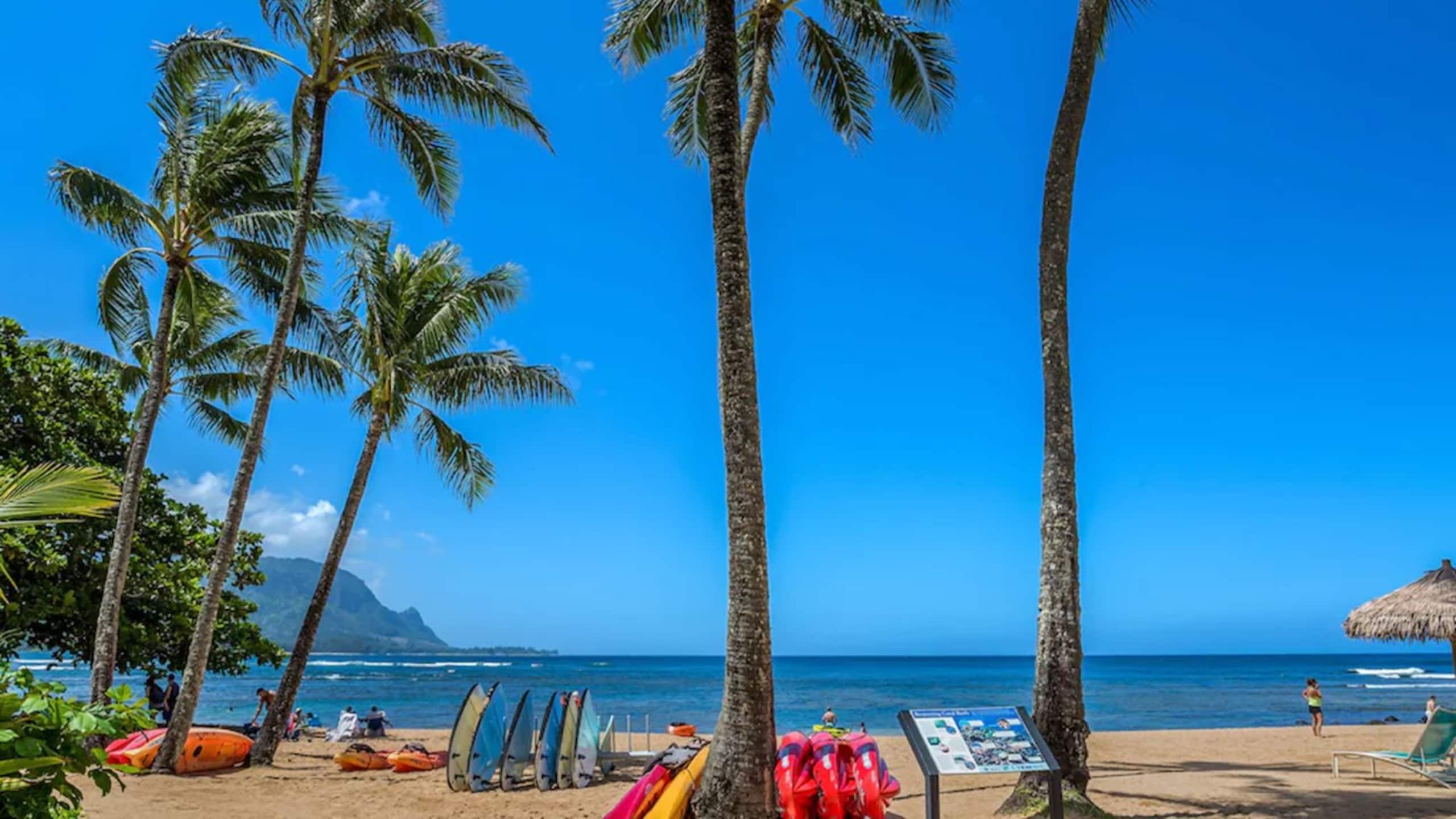 Spectacular Views of Hanalei Bay and Bali Hai 9203 - Image 10