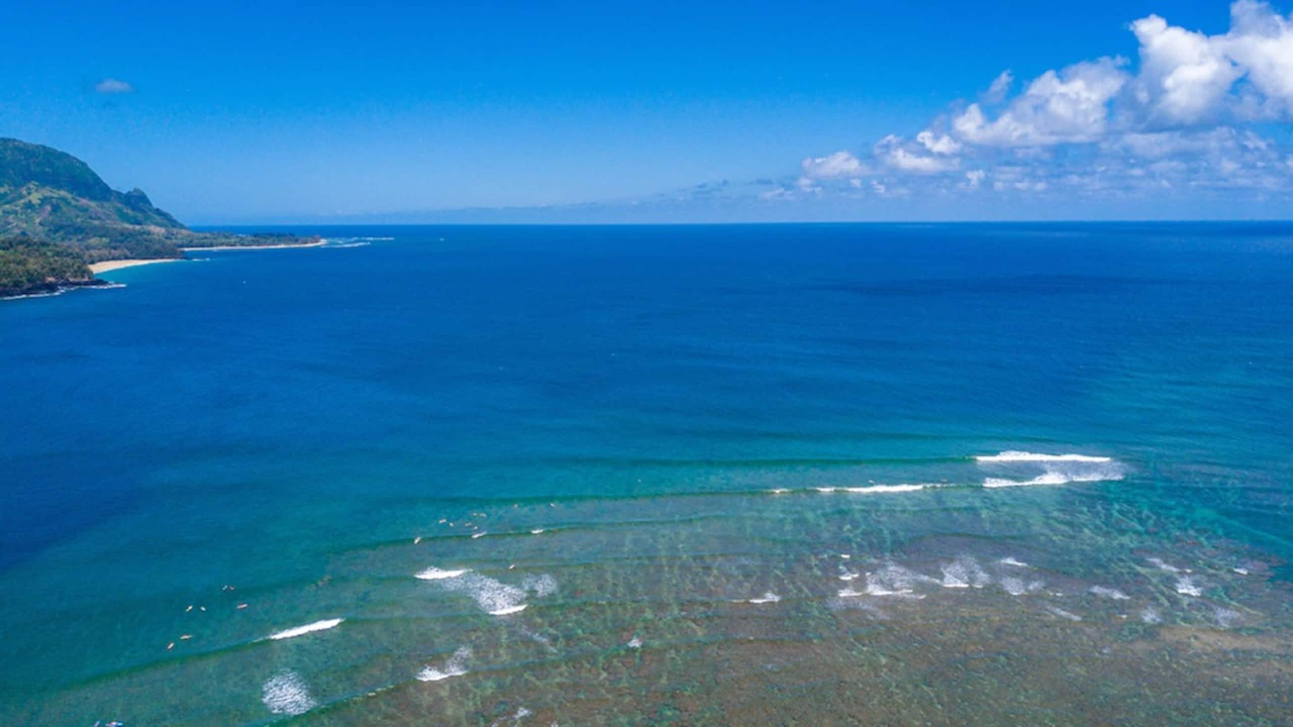 Spectacular Views of Hanalei Bay and Bali Hai 9203 - Image 11