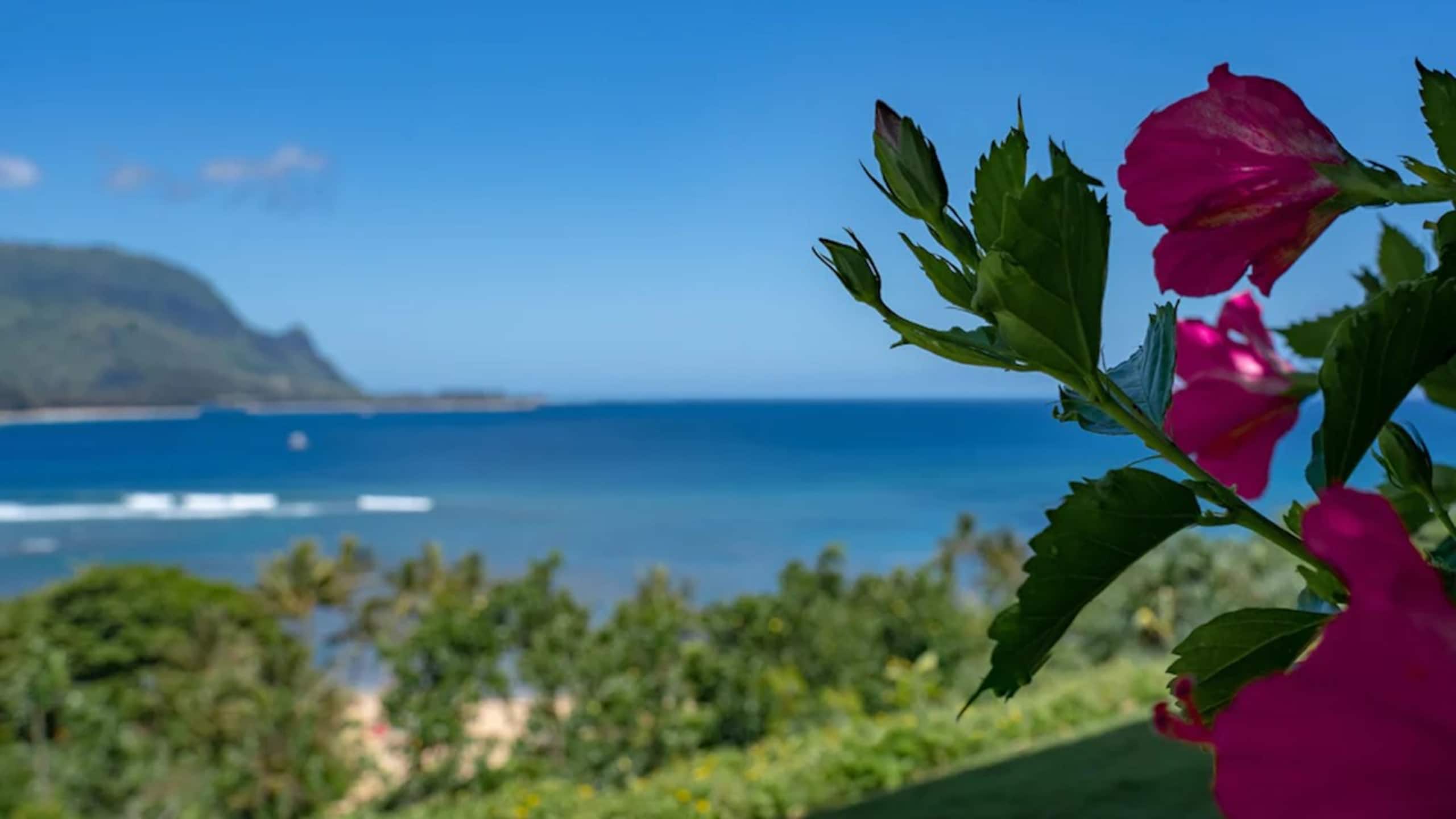 Spectacular Views of Hanalei Bay and Bali Hai 9203 - Image 9