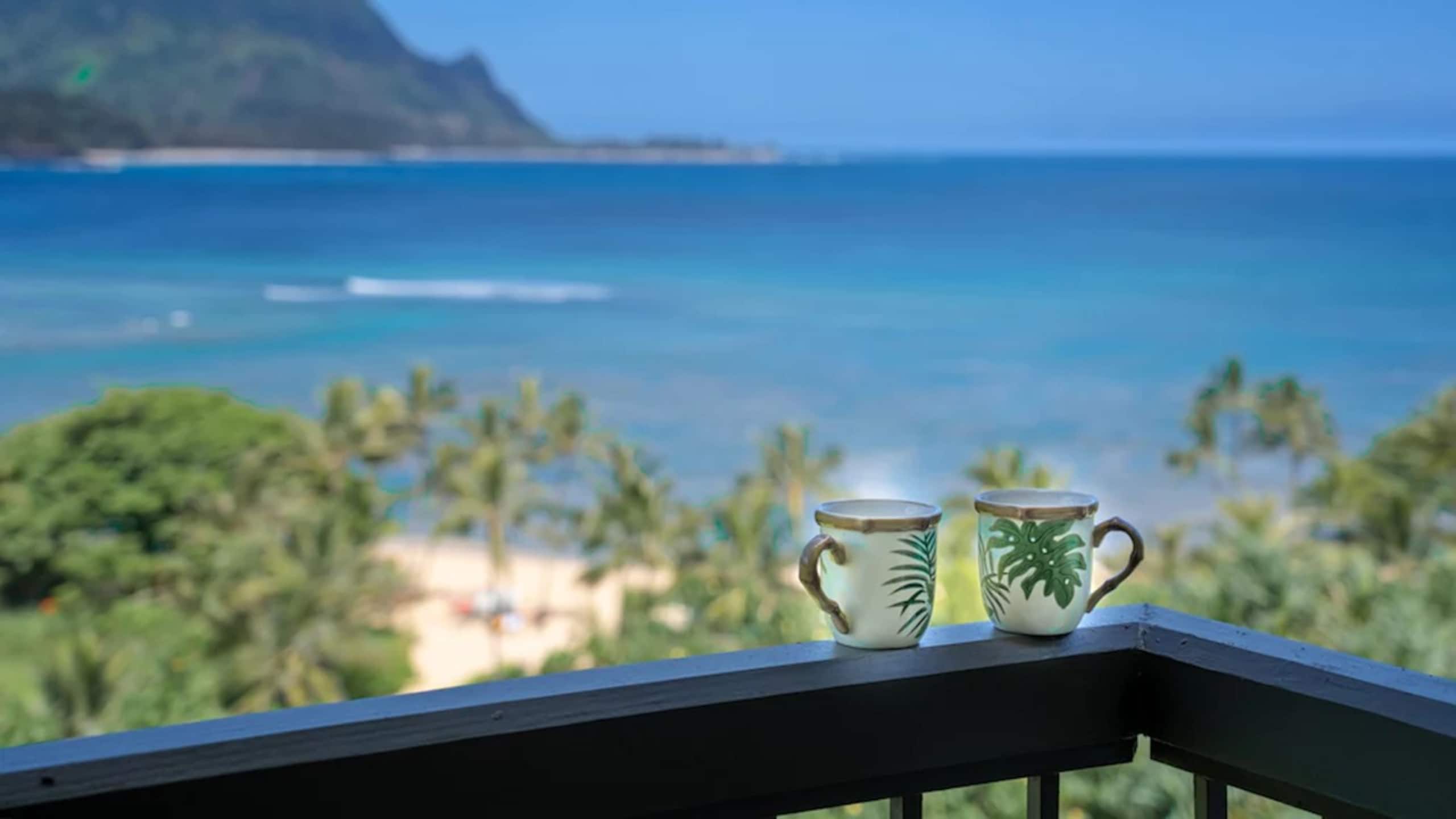 Spectacular Views of Hanalei Bay and Bali Hai 9203 - Image 2