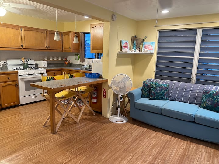 Island Life In Frenchtown, Centrally Located - Charlotte Amalie