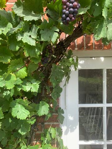 Beautiful townhouse in Copenhagen gallery image 4