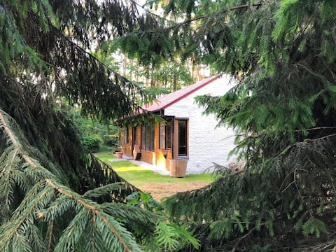 Successful Airbnb property: Vacation home C&C in a private forest of 12500m2 in Oost Vlaanderen