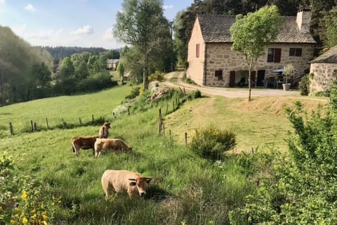 Character house on the outskirts of Aubrac