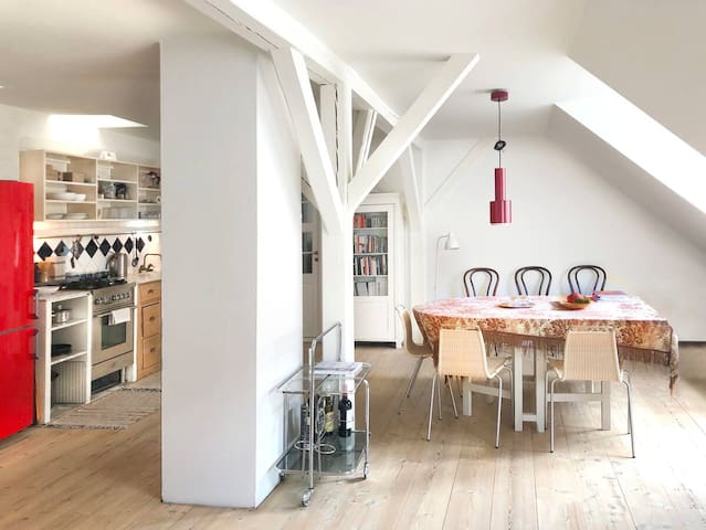 Nyhavn’s spacious apartment & shared roof terrace