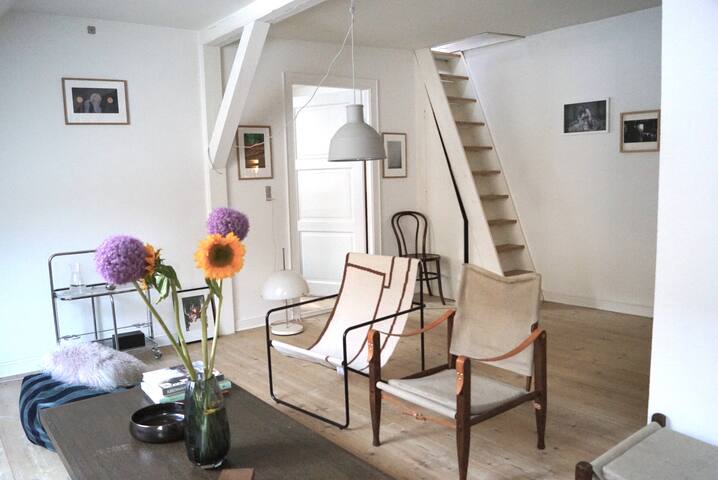 Nyhavn’s spacious apartment & shared roof terrace gallery image 3