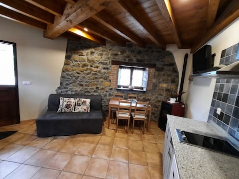 Anuncio de Airbnb popular: "El Llagar" Apartment en Cangas De Onís