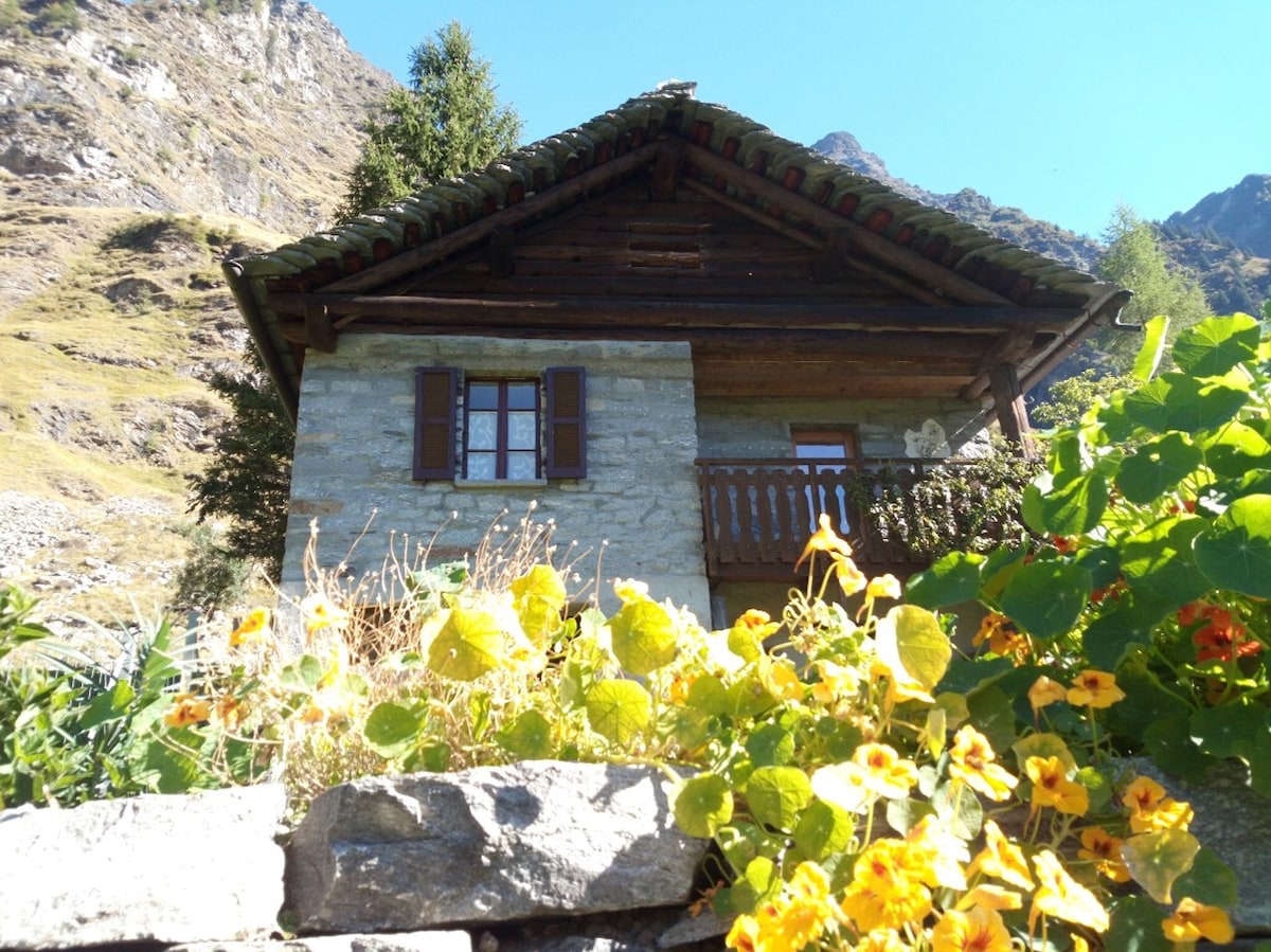 The exterior of a rustic chalet is prominently displayed, featuring a stone base and wood accents. Colorful flowers grow in the foreground, adding vibrancy to the scene. The chalet's sloped roof and wooden shutters enhance its charming alpine character, set against a backdrop of mountains.