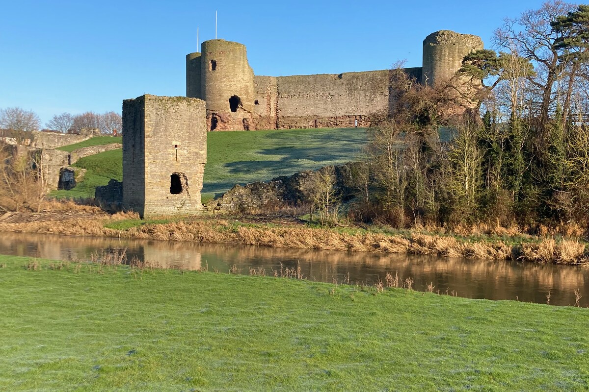 A historic castle ruins are seen rising on a grassy hill, framed by tall trees and a clear blue sky. A peaceful river flows in the foreground, reflecting the surrounding landscape and enhancing the serene atmosphere.