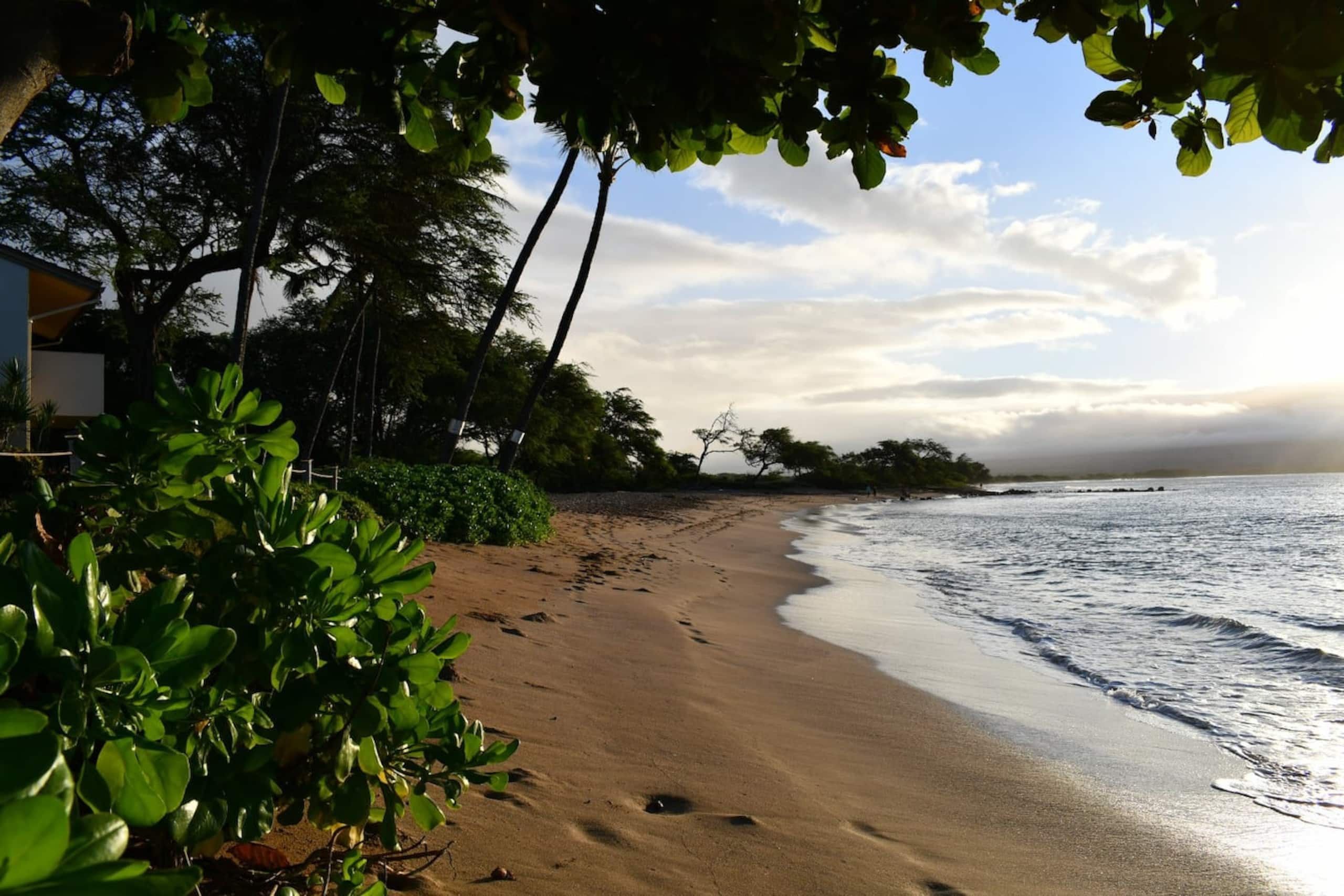 Condo in Wailuku · ★4.95 · 2 bedrooms · 3 beds · 2 baths - Image 14
