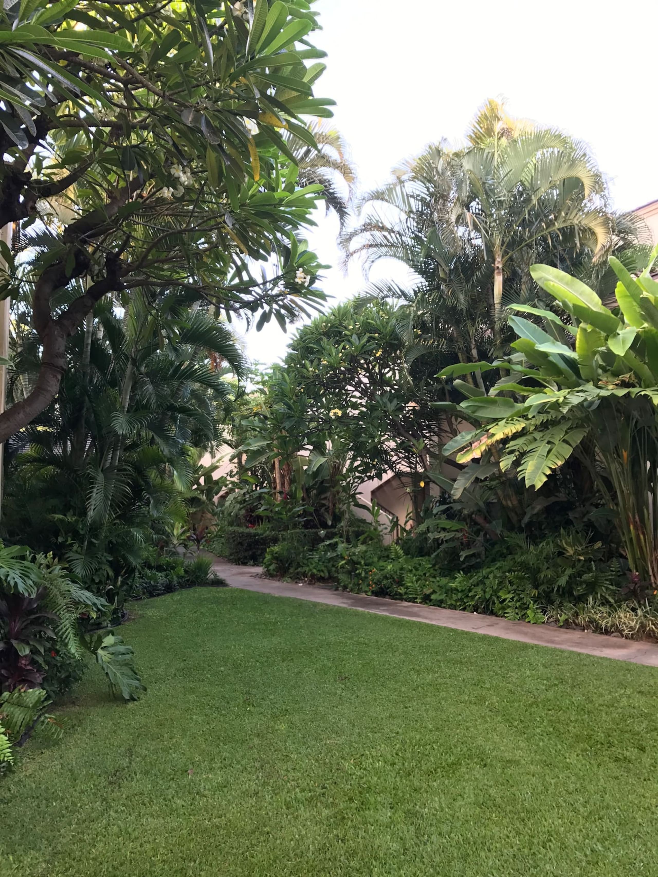 Condo in Wailuku · ★4.95 · 2 bedrooms · 3 beds · 2 baths - Image 11