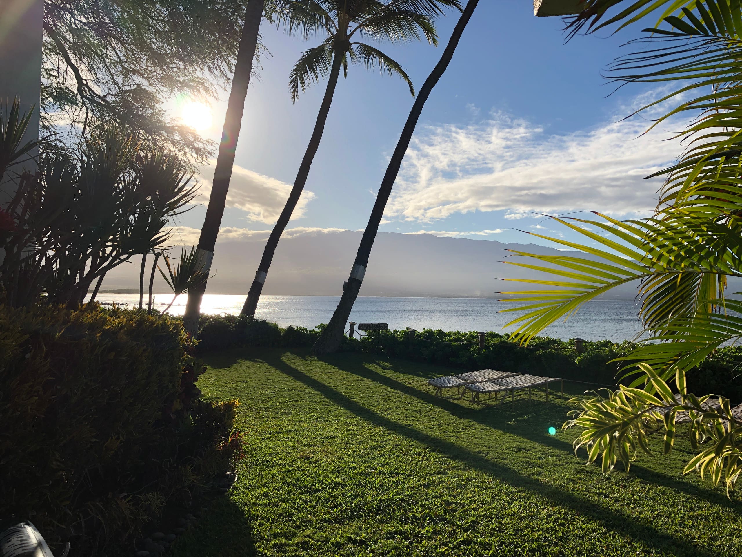 Condo in Wailuku · ★4.95 · 2 bedrooms · 3 beds · 2 baths - Image 15