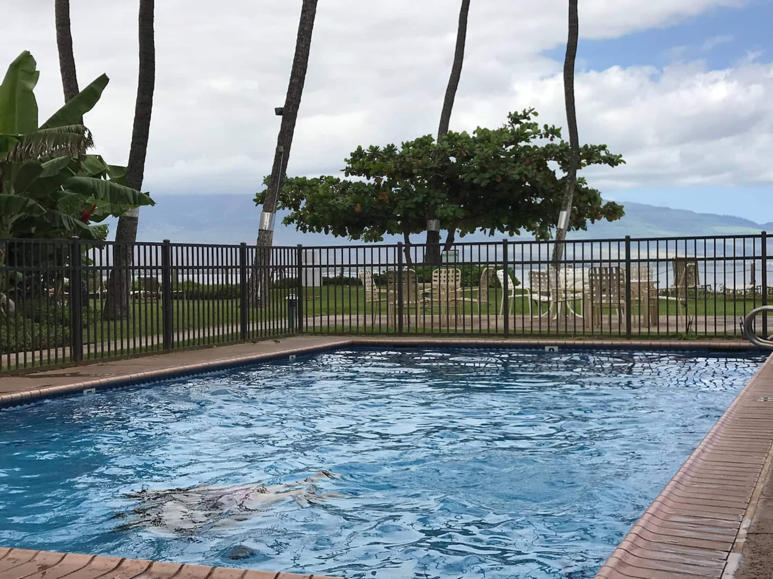 Condo in Wailuku · ★4.95 · 2 bedrooms · 3 beds · 2 baths - Image 13