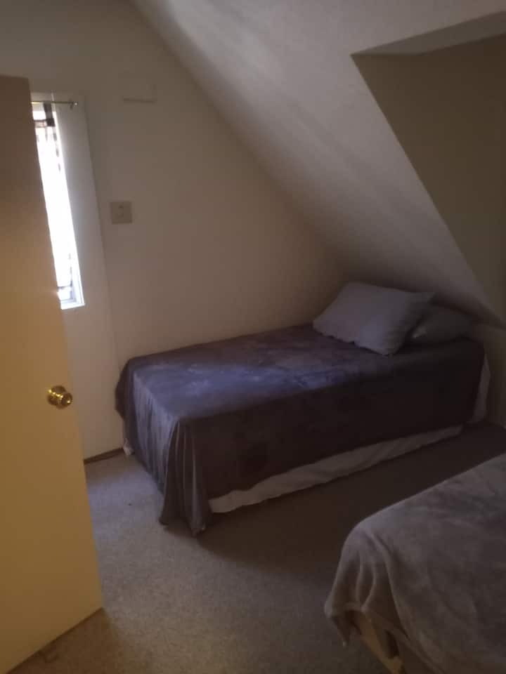 سريران مزدوجان