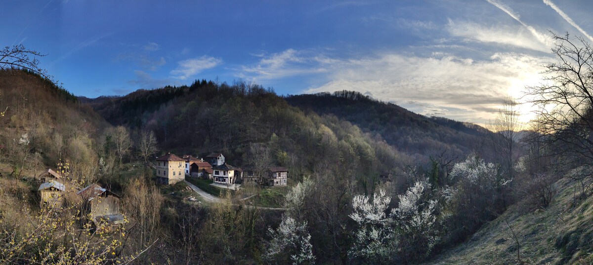 A panoramic view of a serene mountainous landscape is presented. The image includes scattered cottages nestled amid lush greenery. Blooming white flowers contribute to the natural scenery, with a soft sunset illuminating the clouds and hills in the background.