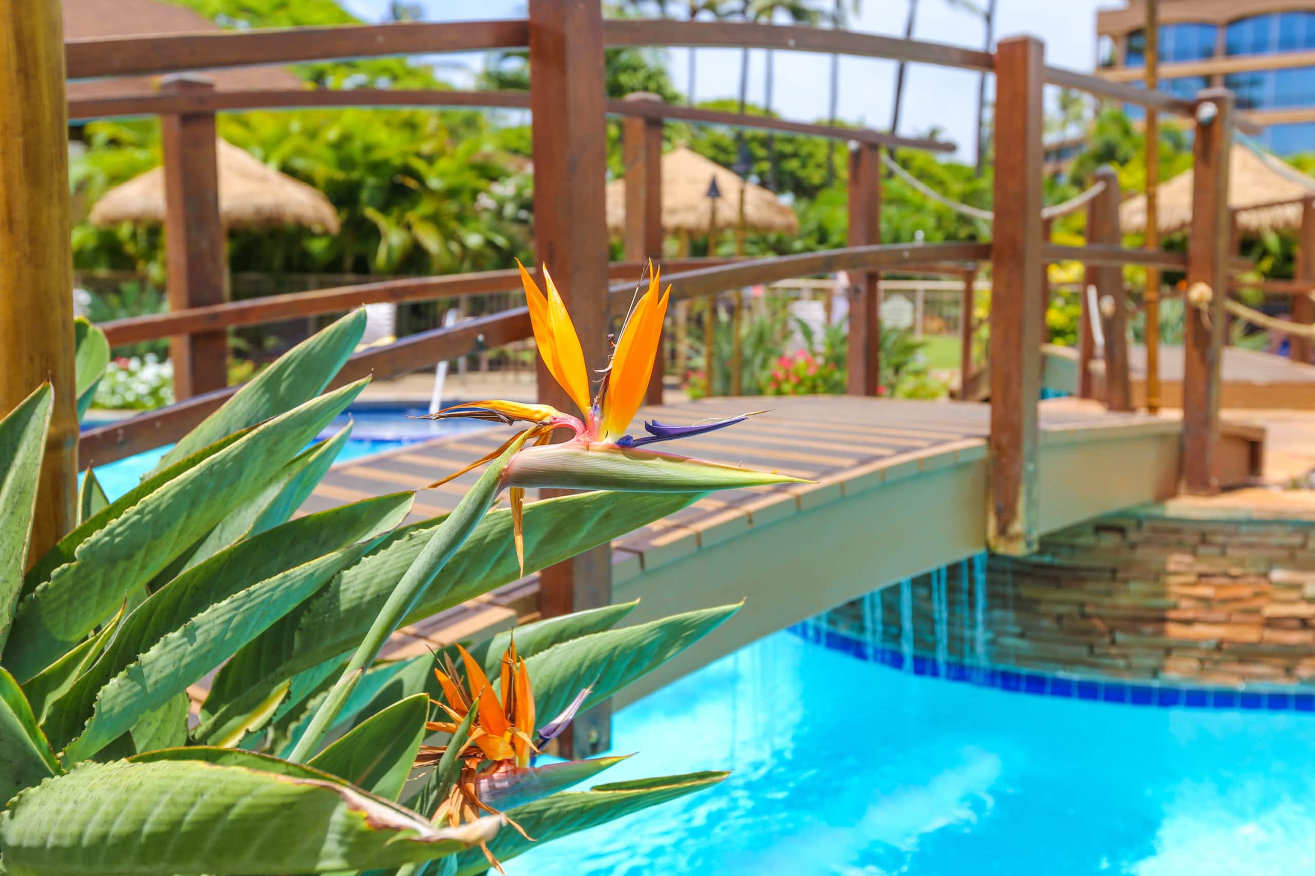 Condo in Lahaina · ★4.84 · 2 bedrooms · 4 beds · 2 baths - Image 30