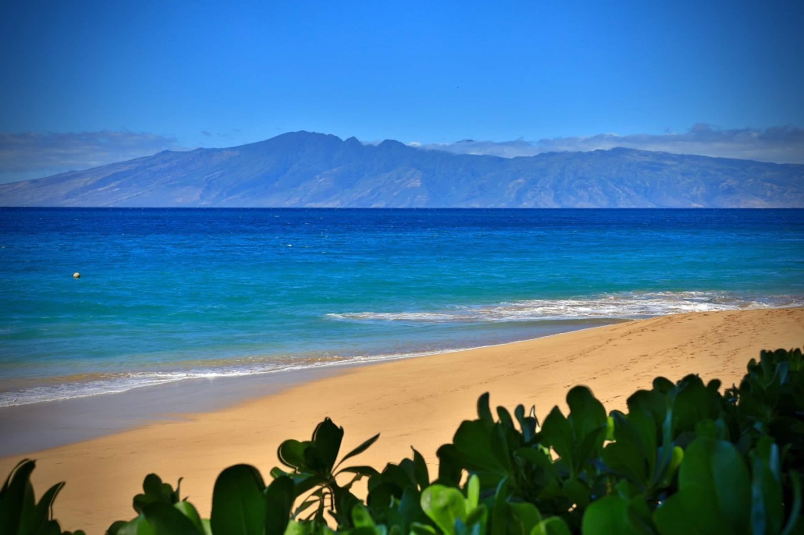 Condo in Lahaina · ★4.84 · 2 bedrooms · 4 beds · 2 baths - Image 27