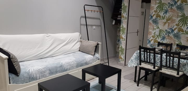 Dijon Super Appartement F1 Bis Climatisé Mezzanine - Dijon