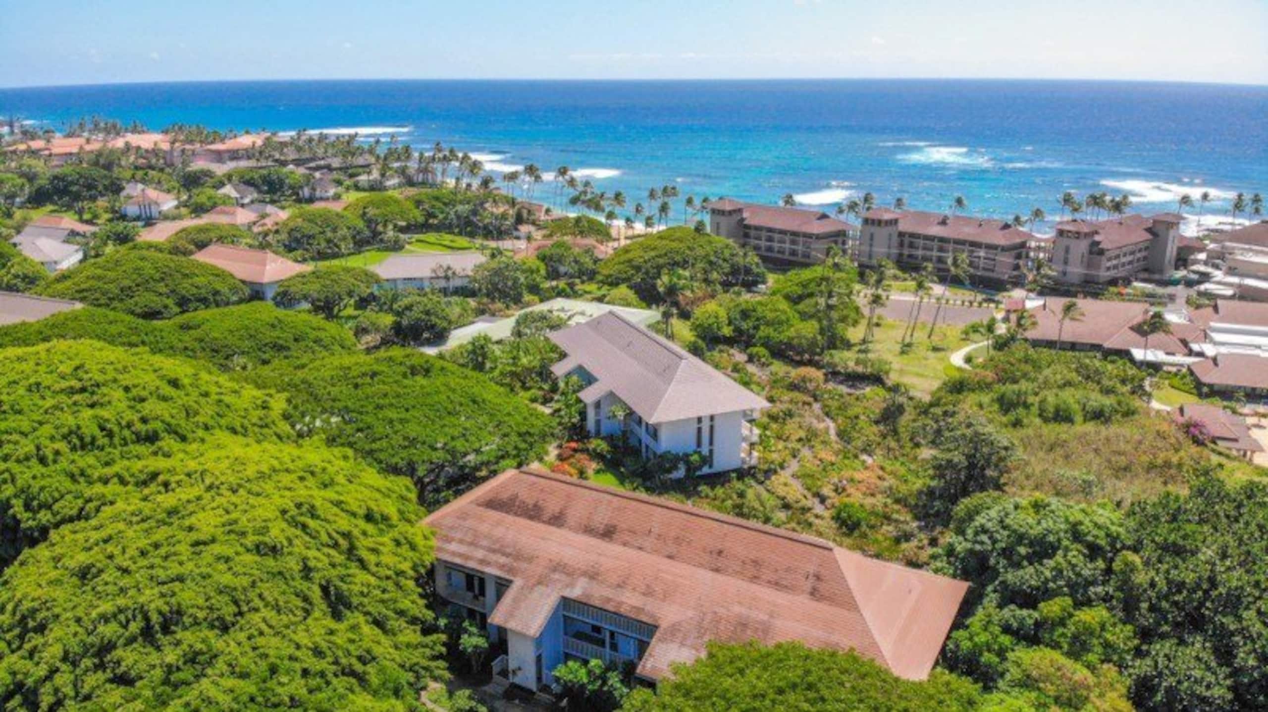 Condo in Koloa · ★4.92 · 1 bedroom · 4 beds · 1 bath - Image 21