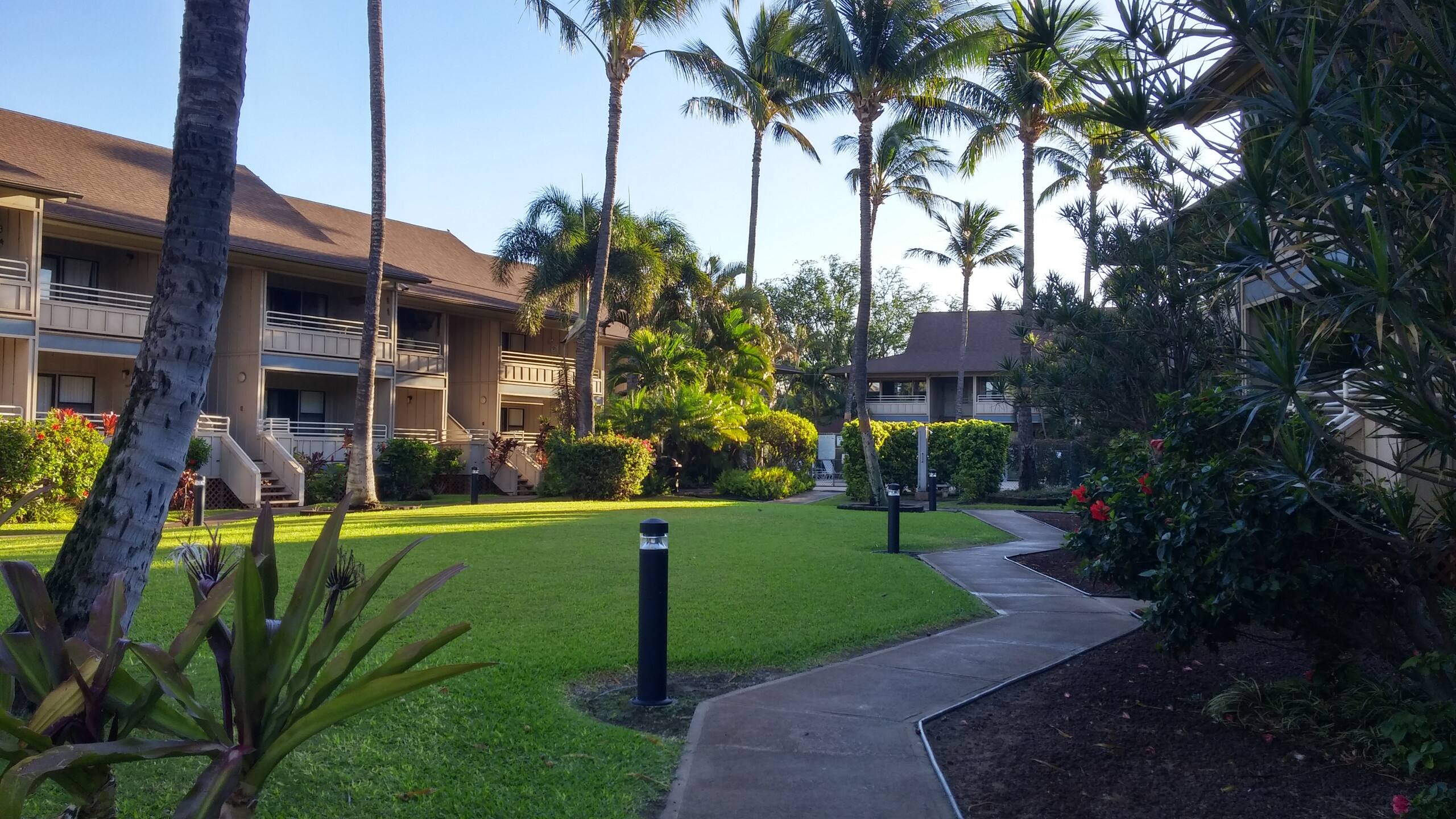 Condo in Kihei · ★4.82 · 1 bedroom · 2 beds · 1 bath - Image 15