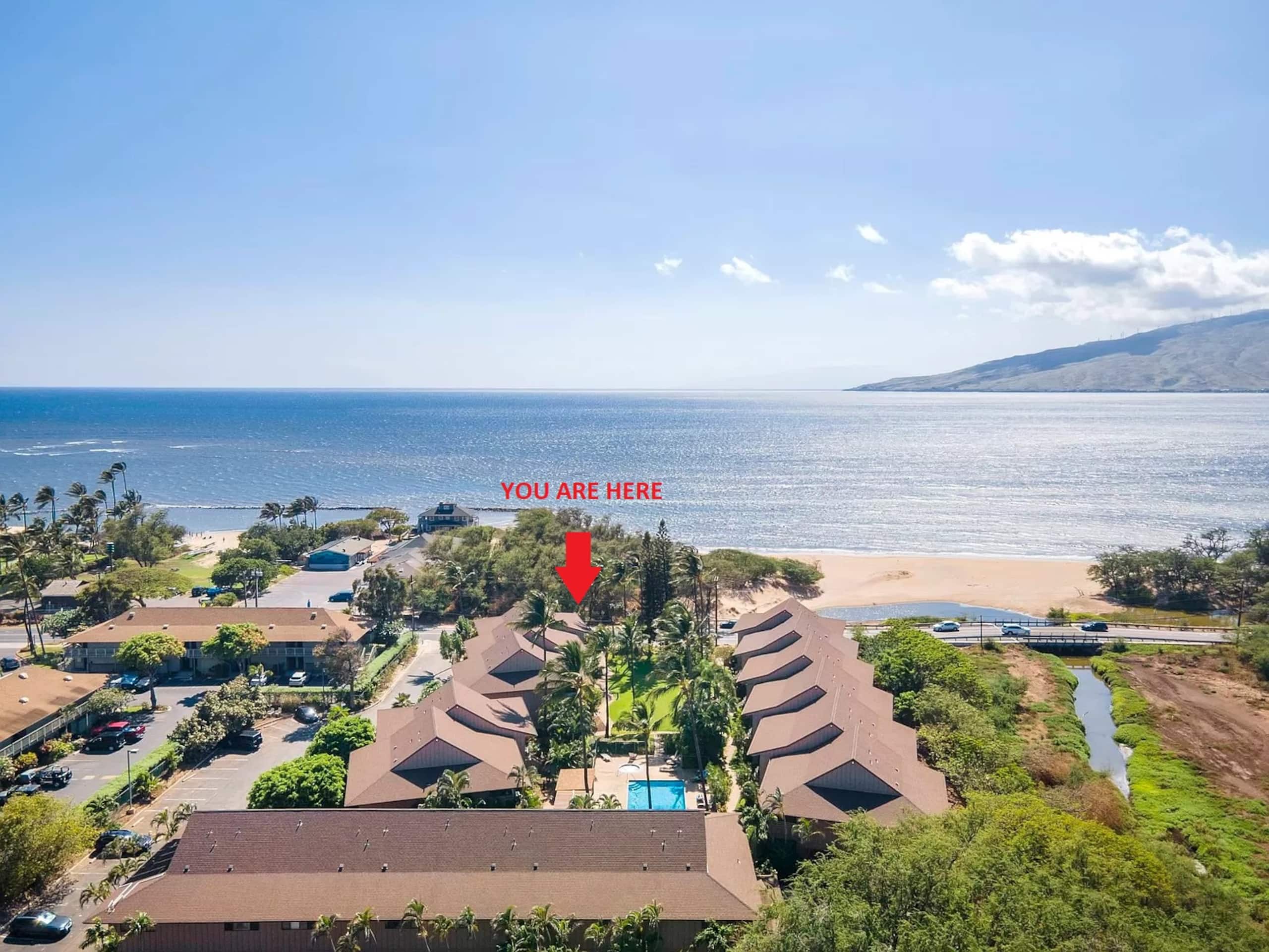 Condo in Kihei · ★4.82 · 1 bedroom · 2 beds · 1 bath - Image 19