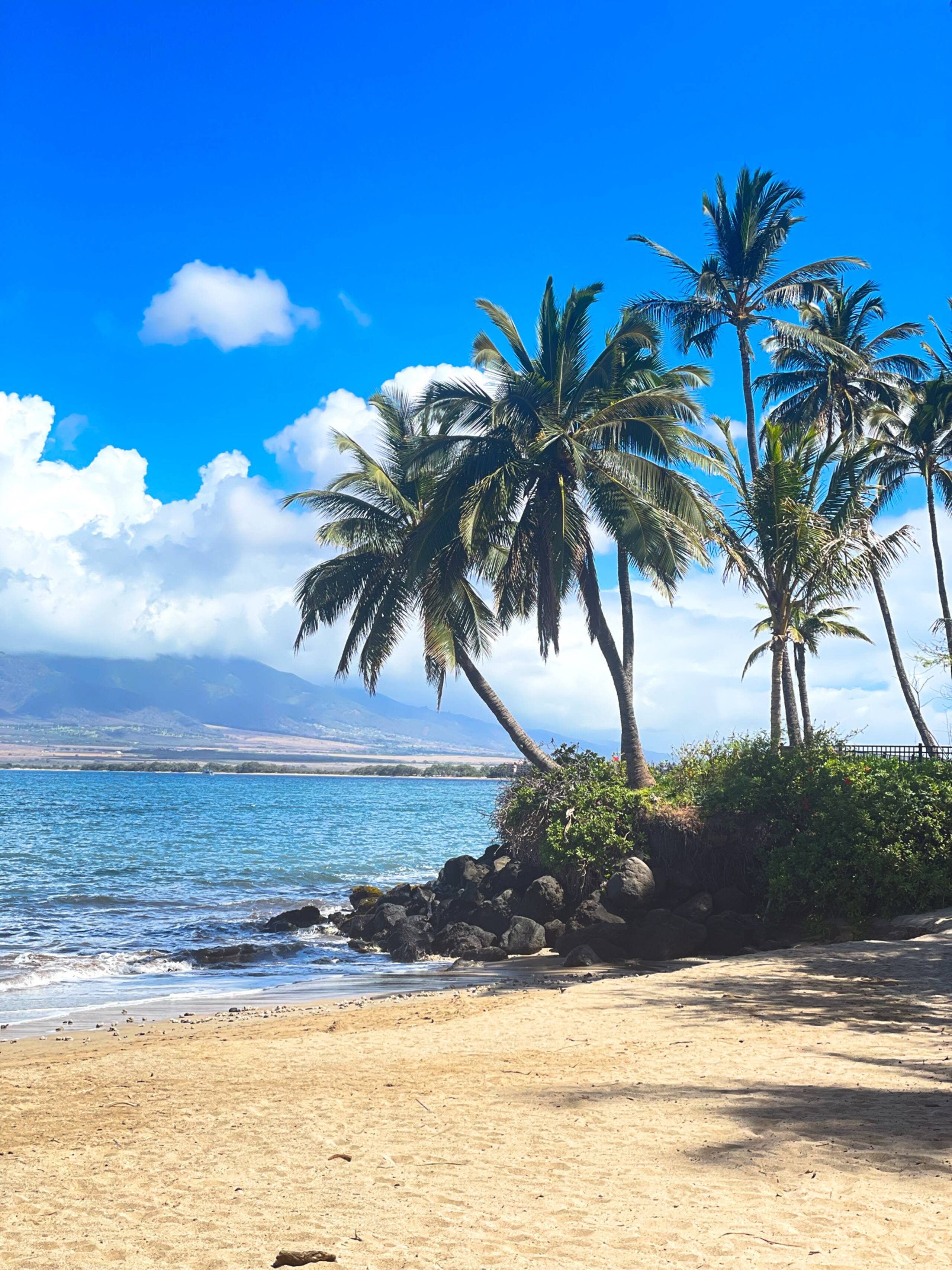 Condo in Kihei · ★4.82 · 1 bedroom · 2 beds · 1 bath - Image 20