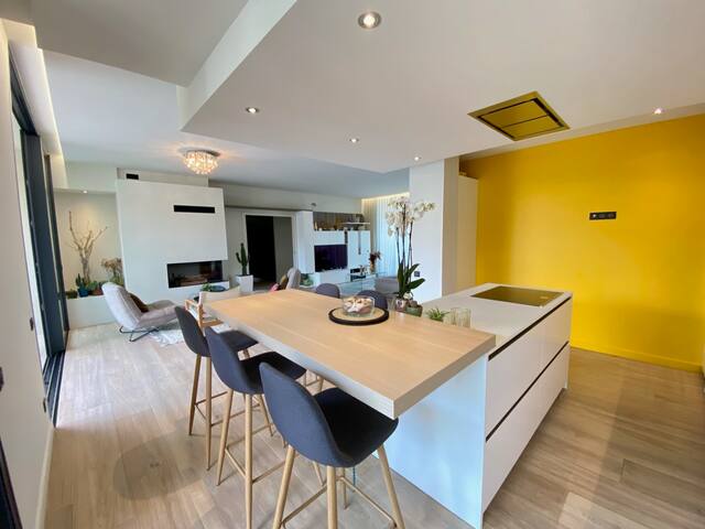 Villa 250m² A-C/ Piscine chauffée/ Garage/ Tram D gallery image 3