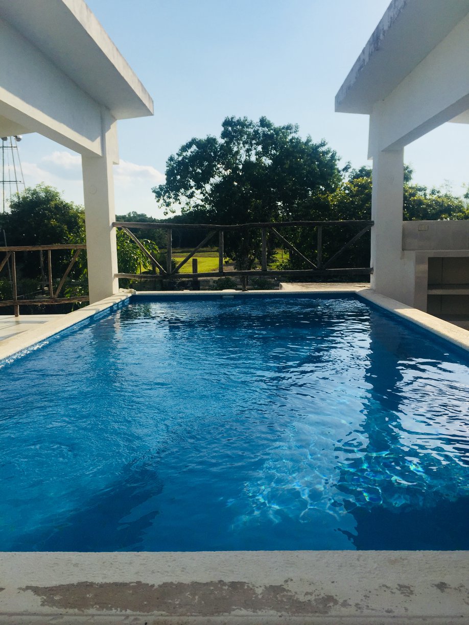 An outdoor swimming pool is surrounded by a smooth deck, reflecting sunlight. Lush greenery can be seen in the background, framed by an elevated balcony railing. The clear, inviting water hints at a serene space for relaxation.