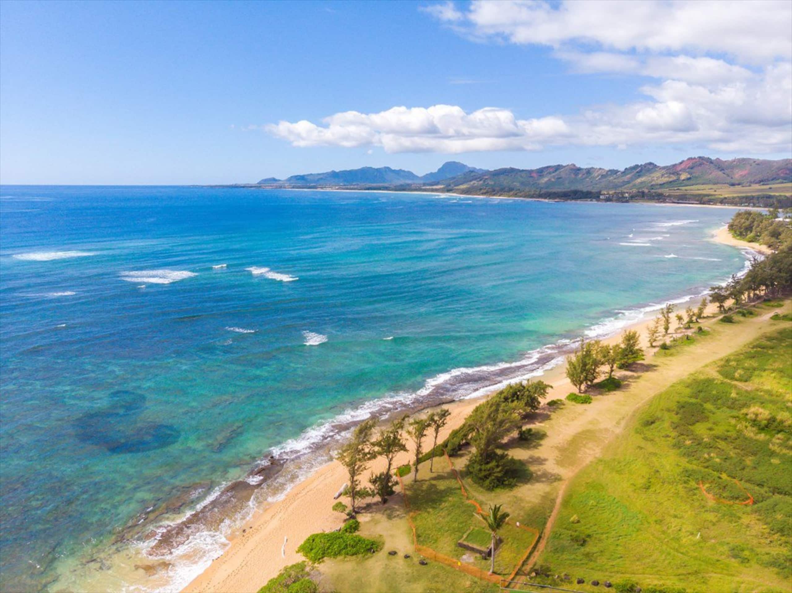 Beach front unit with breathtaking ocean view & AC - Photo 13