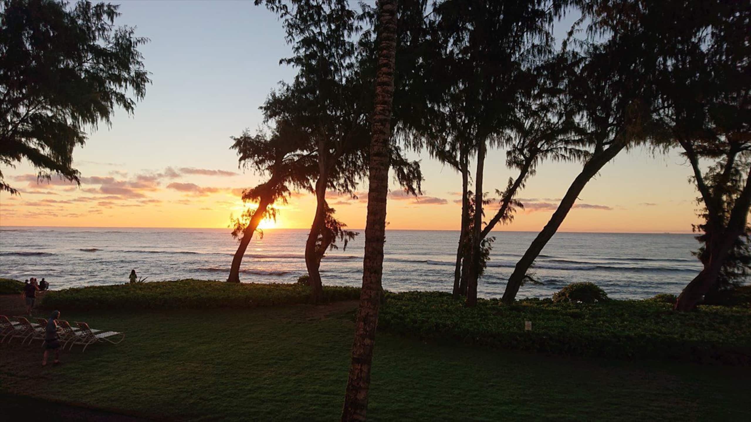 Beach front unit with breathtaking ocean view & AC - Photo 11