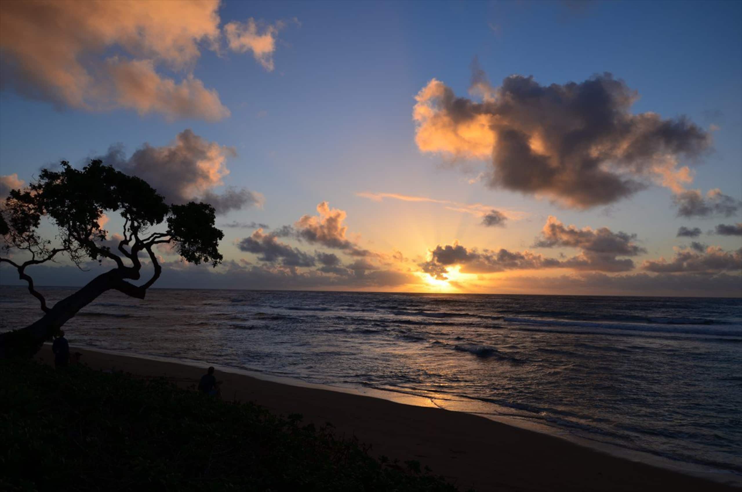 Beach front unit with breathtaking ocean view & AC - Photo 12