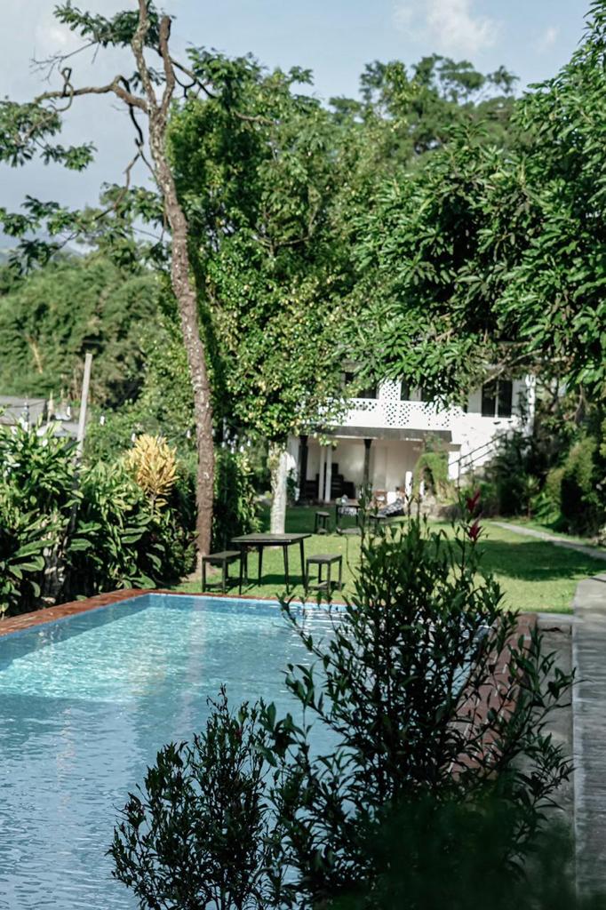 A serene swimming pool is framed by lush greenery, inviting relaxation amidst nature. A spacious villa is glimpsed in the background, complemented by comfortable seating areas nestled among the surrounding plants.
