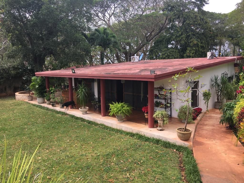 A serene exterior view presents a single-story house surrounded by lush greenery. Potted plants line the entrance, while a terracotta pathway leads to a covered porch featuring large glass doors. A gently sloping lawn enhances the natural setting.