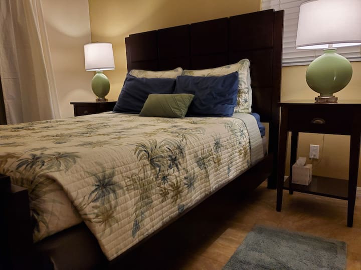 ضيف بحجم كبير