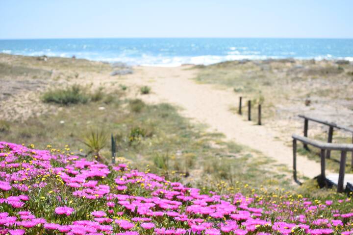 Private Villa a 1 min walk from blue flag beaches gallery image 2