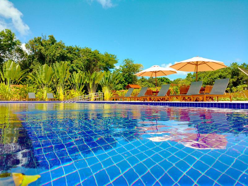 A serene swimming pool is surrounded by lush greenery and features lounge chairs under beige umbrellas. The reflective water displays a vibrant blue tile pattern, creating a calming ambiance. Tall plants and trees frame the area, enhancing the natural setting.