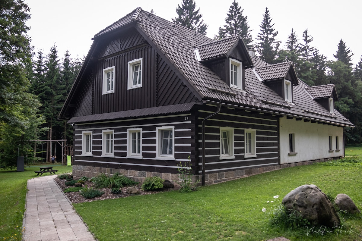A modern lodge is depicted with a contrasting dark wooden facade and white sections. The structure is surrounded by a well-maintained lawn, featuring a stone pathway leading to outdoor seating. Nearby, trees provide a natural backdrop, contributing to a peaceful environment.