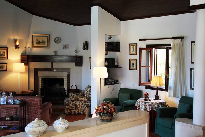 IN A PINEWOOD NEAR THE SEA gallery image 2