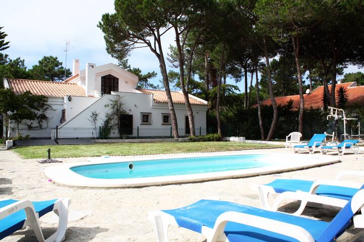 IN A PINEWOOD NEAR THE SEA gallery image 3