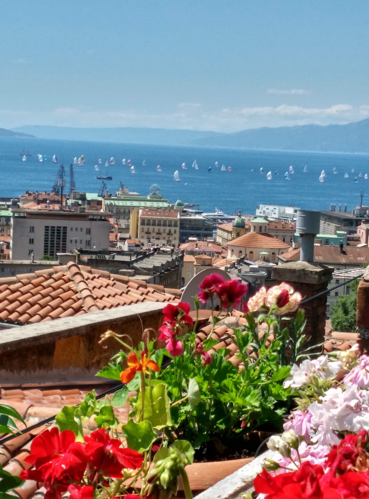 A vibrant display of flowering plants fills the foreground, with colorful blooms adding life. In the background, a panoramic view of the city and the sea is presented, dotted with sailboats and framed by a clear blue sky, enhancing the coastal scenery.