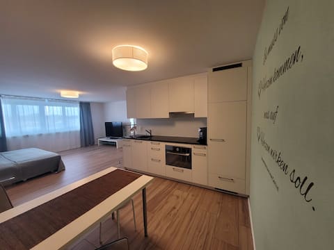 Successful Airbnb property: Modern studio with kitchen, near Zurich. in Zürich