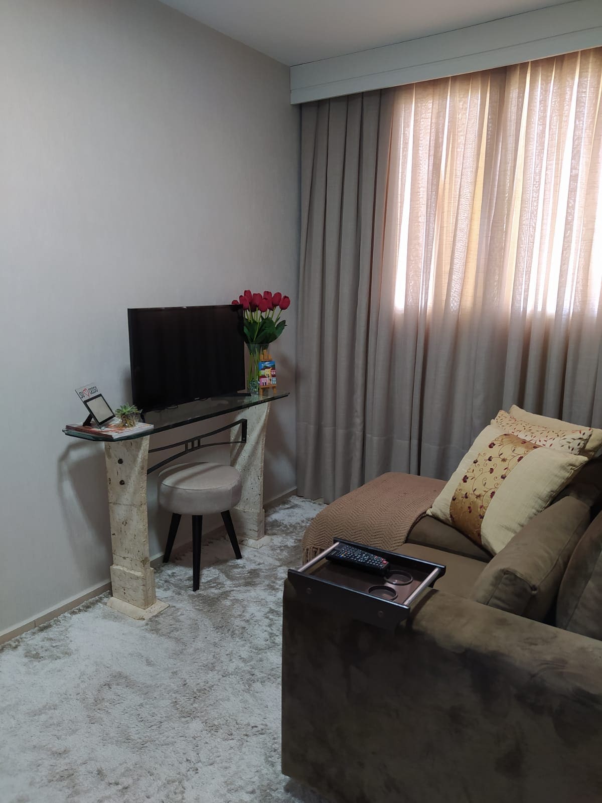 A cozy living area is presented featuring a plush sofa with decorative cushions. A small console table supports a television, and a vase with red tulips adds a touch of color. Soft natural light filters through sheer curtains, enhancing the inviting atmosphere.