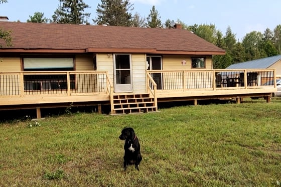 A single-story house is showcased with a new wooden deck that extends across the front, featuring steps leading to the entrance. A black dog sits in the grassy yard, surrounded by trees and a second structure in the background.