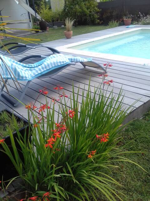 Cozy house with pool