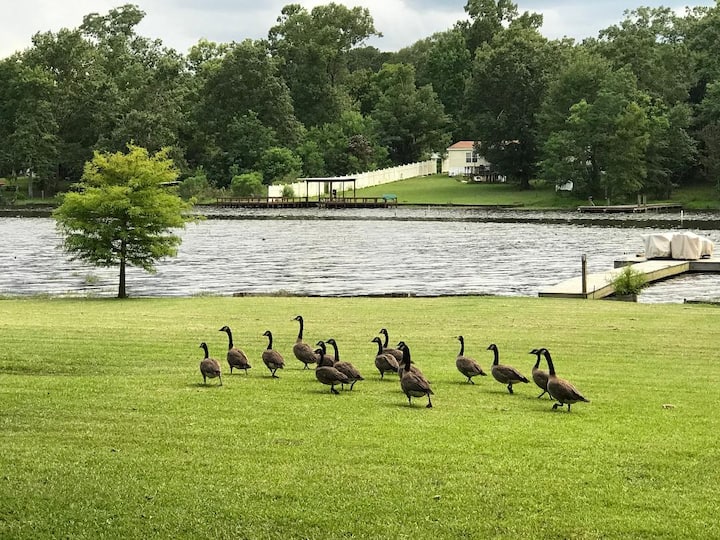 Leesville Places To Stay Airbnb