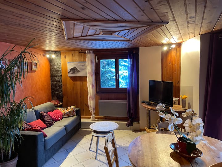 Appartement Au Pied Des Pistes Albanne - Montricher-Albanne