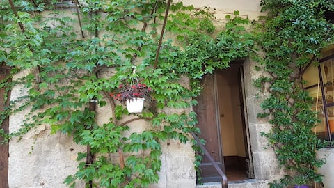 Entrevaux: in the historic heart of the village